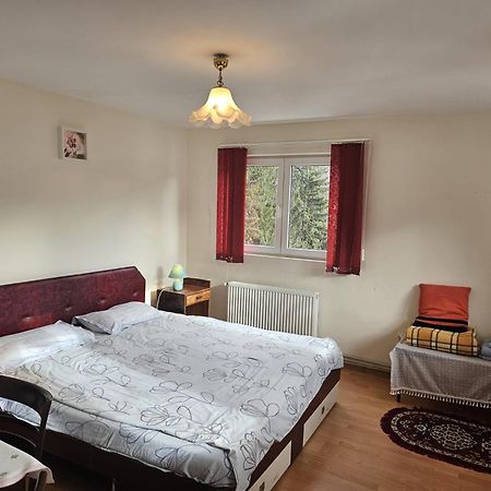 Apartament Retro-Relax Sinaia Luaran gambar